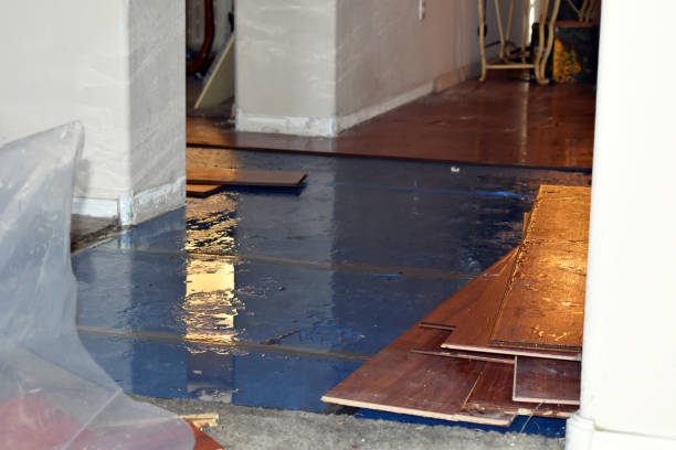 Professional Basement Flood Cleanup technician working in Newark, IL